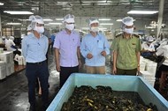 Lào Cai: Thành lập 2 Đoàn kiểm tra liên ngành an toàn thực phẩm trong dịp Tết 